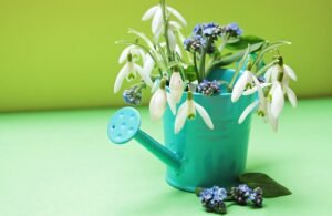 SeasonalityProducts about Seasonal Products