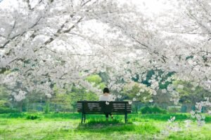Seasonalityproducts.com about Seasonal Products